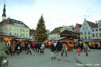 Переезд в Эстонию: сколько стоить жизнь в Таллине для айтишника