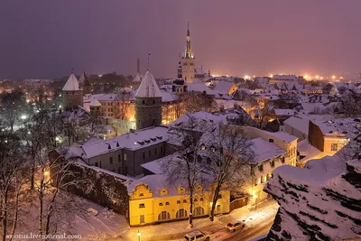 Что делать в Таллине зимой -