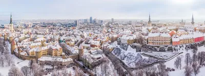 Государство больше не разрешит свозить собранный в Таллинне снег на свою  землю | Эстония | ERR
