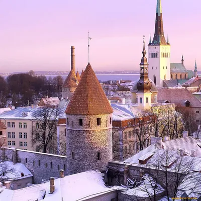 Таллинн, Эстония, 02 06 2019 год Улицы Старого Таллина зимой Редакционное  Фото - изображение насчитывающей история, сценарно: 162672631