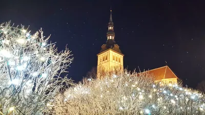 Официальный гид Таллинна - Visit Tallinn