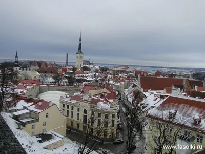 Бюджет Таллинна – 2024: поддержать горожан и оживить экономику |  Stolitsa.ee - новостной портал города Таллинн
