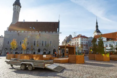 Ратушная площадь в Таллине – отели рядом, фото, видео, как добраться,  веб-камера на Туристер.ру