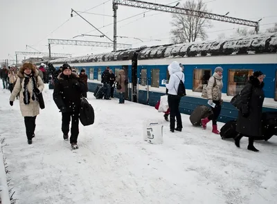 Таллин в феврале: зимняя сказка | Блог Фасольки о путешествиях