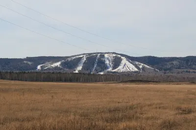 Водки