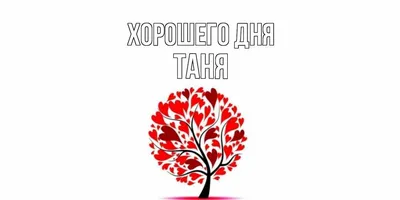 Бельгийка зарабатывает голоса необычным способом / Хабр