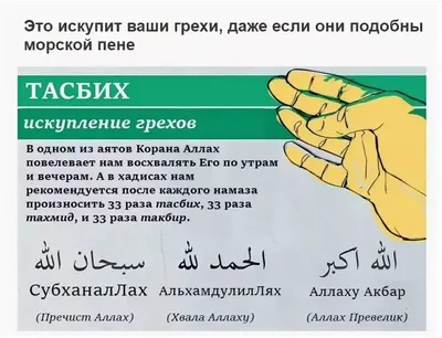 Намаз-таравих по ханафитскому мазхабу | islam.ru