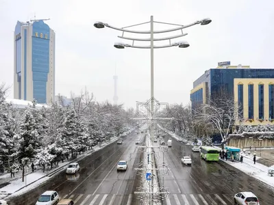 В Ташкент пришла зима — фото - 05.12.2022, Sputnik Узбекистан