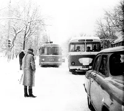 Winter in Tashkent. Зимний Ташкент | livetashkent | Flickr