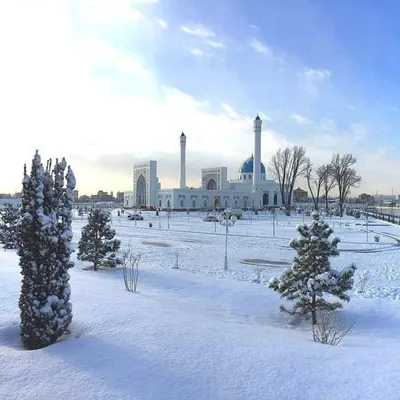Первый снег в Ташкенте — фоторепортаж — Anons.uz
