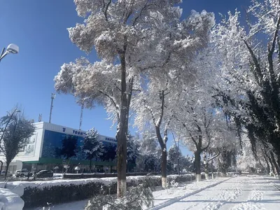 Ташкент зимой (много старых фото)