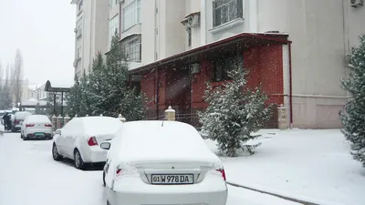 Зимний Ташкент — DRIVE2