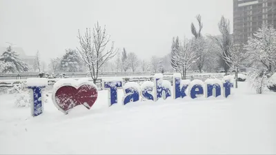 Однодневная зима, Ташкент | Пикабу