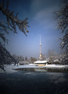 Однажды в Рождество: Ташкент, Хива, Бухара и Самарканд зимой 🧭 цена тура  $915, отзывы, расписание туров в Ташкенте