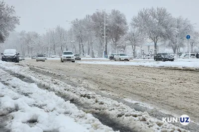 Пять причин посетить Узбекистан зимой | Ассоциация Туроператоров