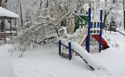 Ташкент зимой фото фотографии