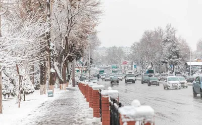 В Ташкенте зафиксирована самая низкая температура за последние 50 лет