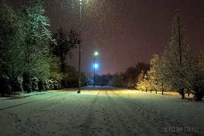 Ташкент зимой (много старых фото)