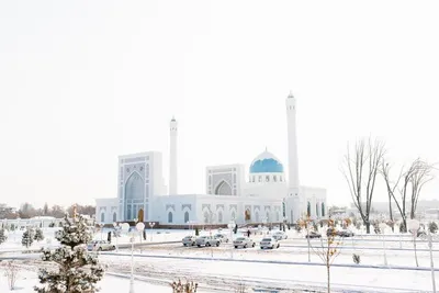 Зимний Ташкент. 1947-1952 гг.... - Tashkent Retrospective | Facebook