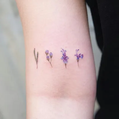 Pin by Lori on Flowers | Delicate flower tattoo, Violet flower tattoos,  Violet tattoo