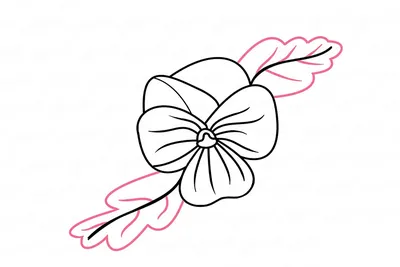 Цветы для срисовки фиалка (23 шт)