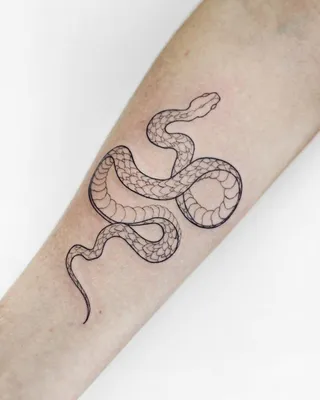 Татуировка женская графика на предплечье змея и роза - мастер Мария  Бородина (Челнокова) 5076 | Art of Pain