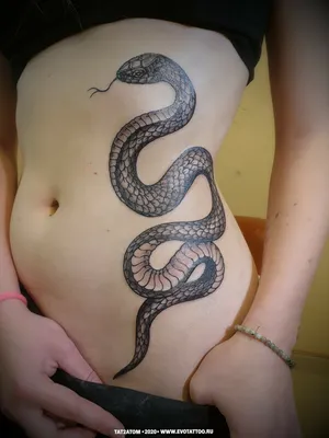 Татуировки временные для взрослых на 2 недели / Долговременные реалистичные  перманентные тату, змея - купить по выгодным ценам в интернет-магазине OZON  (899592496)