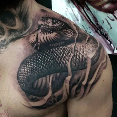 tattoo#ink#snake#тату#змея#змеятату | Instagram