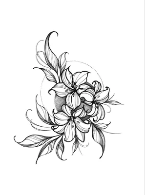 Эскиз тату лилии | Botanical tattoo, Botanical tattoo design, Flower tattoo  designs