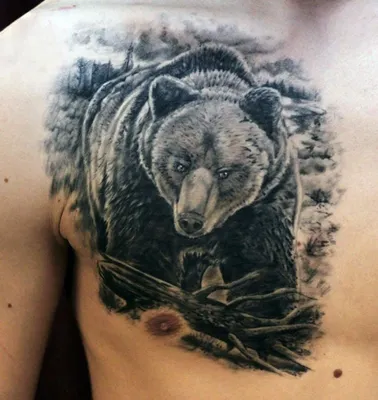 Скачать бесплатно фото татуировки медведя в webp формате