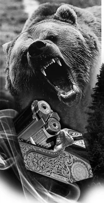 Картина медведя с выразительным тату на фоне заката