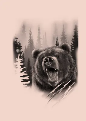 Черно-белый рисунок татуированного медведя - загрузите бесплатно