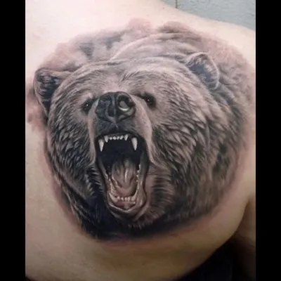 Фото татуировки медведя в хорошем качестве - скачайте бесплатно