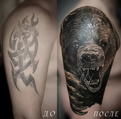 Удивительная татуировка медведя в высоком разрешении - jpg для скачивания