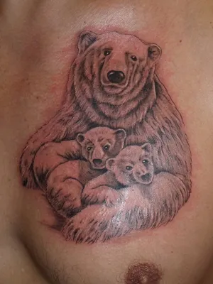 Фон с татуированным медведем - настроенный размер и формат для вас