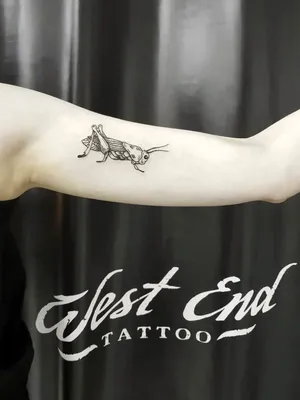 Тату на бицепсе | ANATOMY TATTOO STUDIO | Дзен