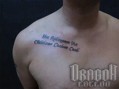 Тату надписи - фото татуировок с надписями и примеры шрифтов