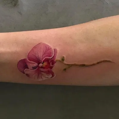 Тату орхидея (52 фото) - значение татуировки, эскизы 2024