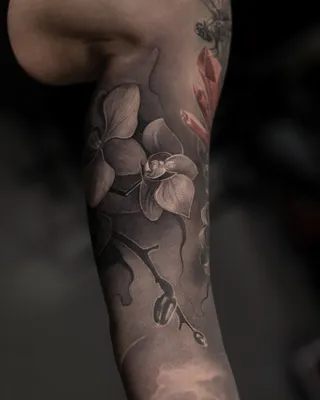 Тату цветок орхидея - 4 Фото и значение татуировок 2024