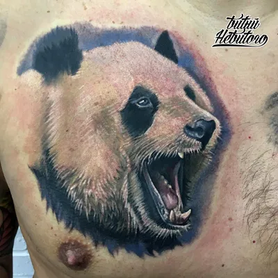 Переводные мини-тату Panda (панды) Miami Tattoos | Купить с доставкой в  интернет-магазине kandi.ru