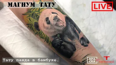 тату эскизы \"Панда\" - VeAn Tattoo