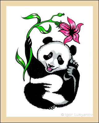 Panda Tattoo Meaning - All About Tattoo