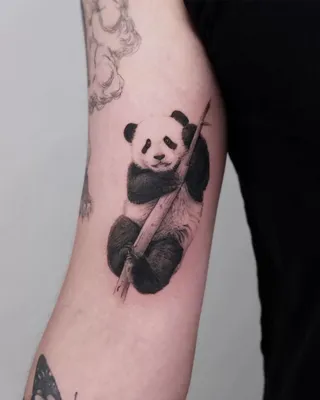 Bai Bai Small Black Geometric Panda Spirit Animal Temporary Tattoo –  MyBodiArt