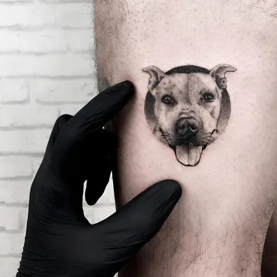 Pitbull Tattoo\" Sticker for Sale by Fragile-Prints | Redbubble