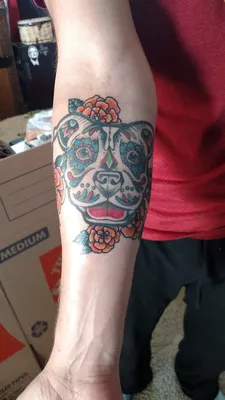 Pitbull Hood Tattoo - Realistic Temporary Tattoos | Tattoo Icon – TattooIcon