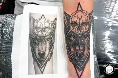 Tattoo uploaded by Tattoodo • Pitbull tattoo by camilovipertattoo  #camilovipertattoo #pitbull #traditional #dogtattoo #dog #petportrait  #animal • Tattoodo