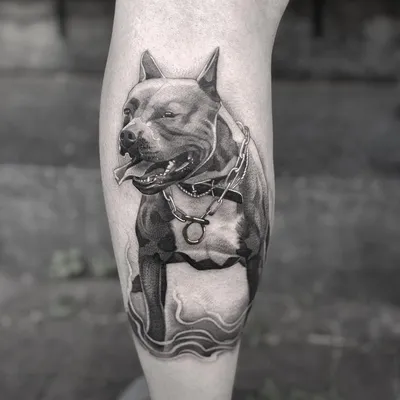 Tattoo uploaded by Tattoodo • Pitbull tattoo by torrestattoo #torrestattoo # pitbull #blackandgrey #realism #dogt… | Dog tattoos, Pitbull tattoo, Dog  portrait tattoo