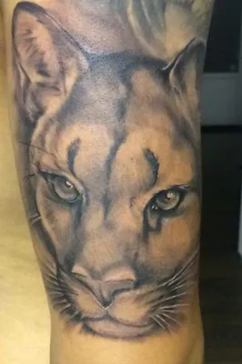 Puma. Done by Egill in Studio 101, Iceland. 2021-2022 : r/tattoos