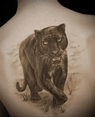 Tattoo uploaded by Adrián • Puma • Tattoodo