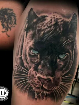 Tattoo uploaded by Barabás Joco • Puma • Tattoodo